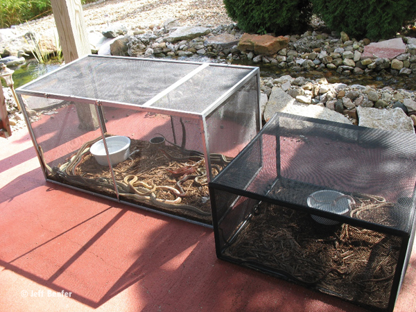 garter snake enclosure