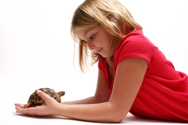girl with tortoise