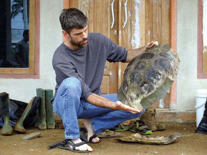 Herpetologist studying a turtle shell.
