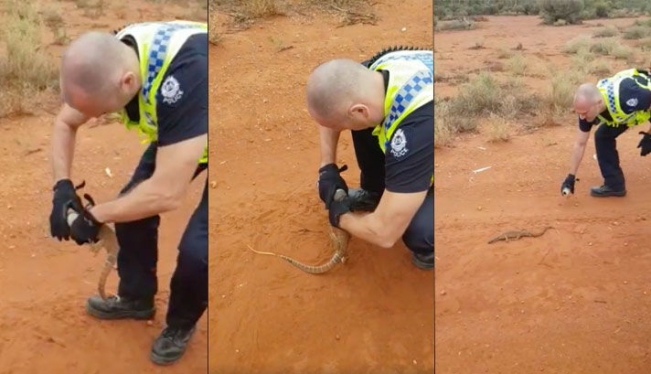 Police officer removes lizard's head that got stuck in Red Bull can.