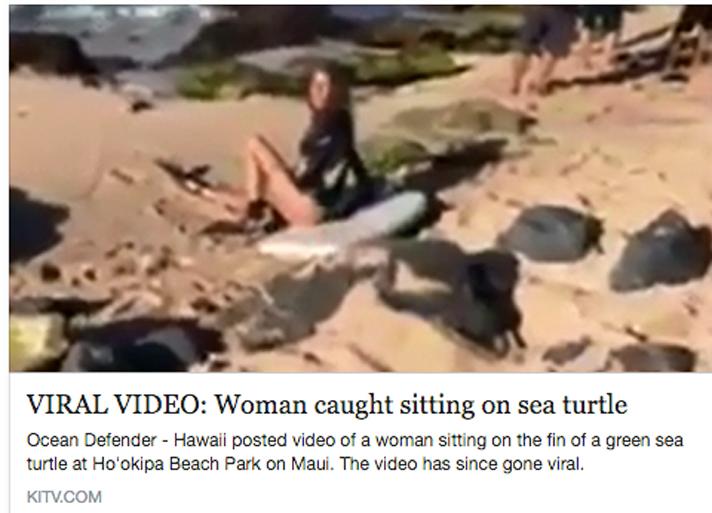 a woman sits on sea turtle in Hawaii.