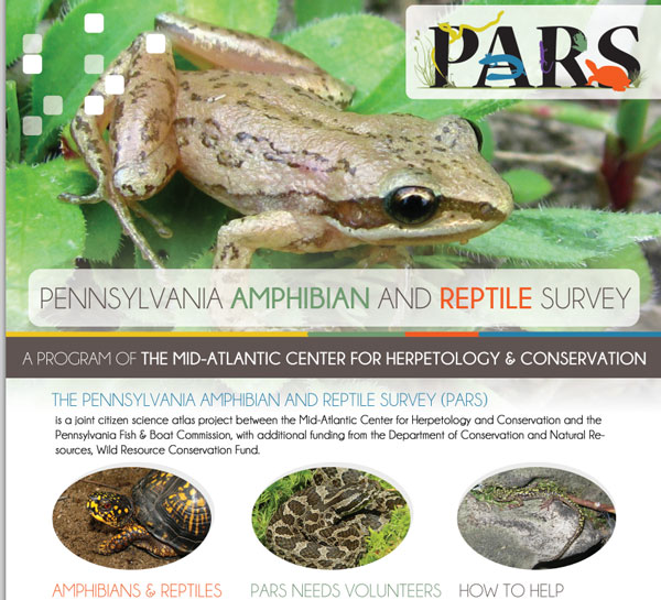Pennsylvania Amphibian & Reptile Survey