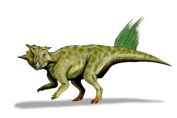 Illustration of a psittacosaurus