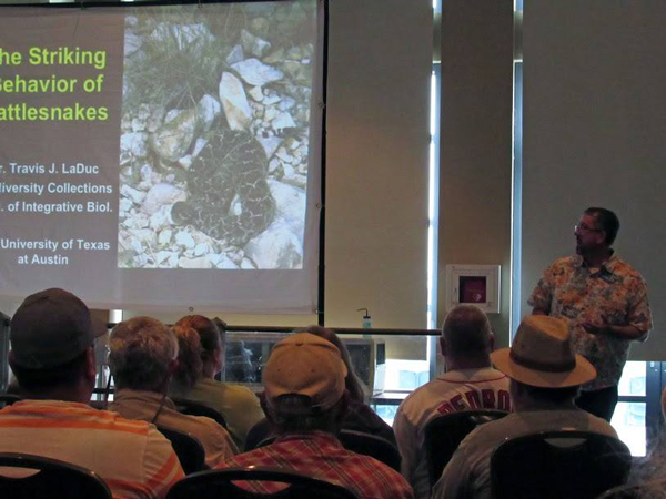 A seminar on rattlesnake behavior