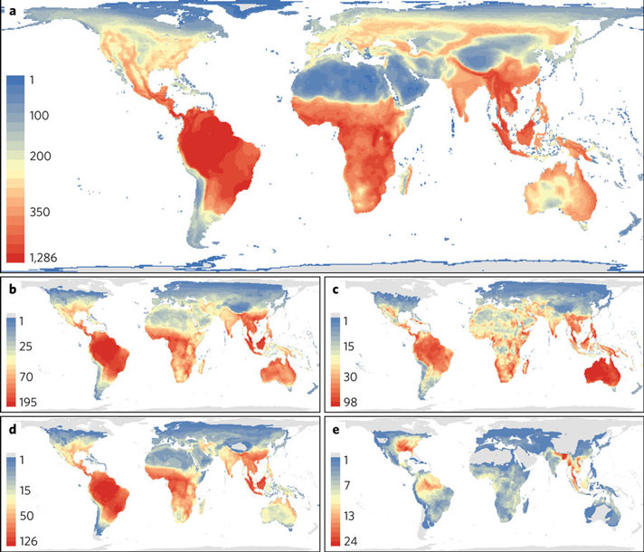 Reptile species richness map
