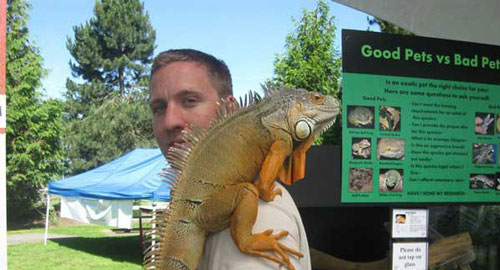 Mike the Reptile Guy with a green iguana