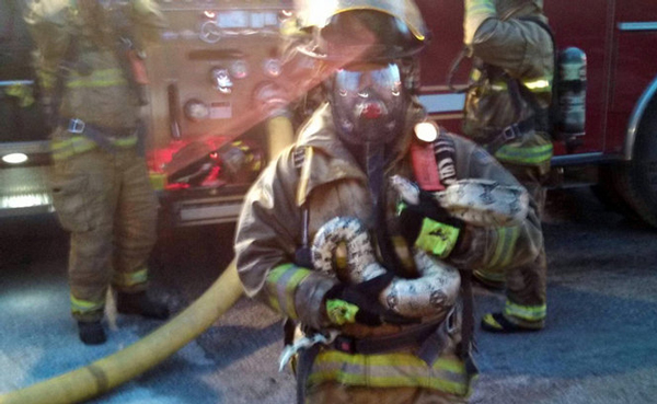 firefighter rescues a boa constrictor