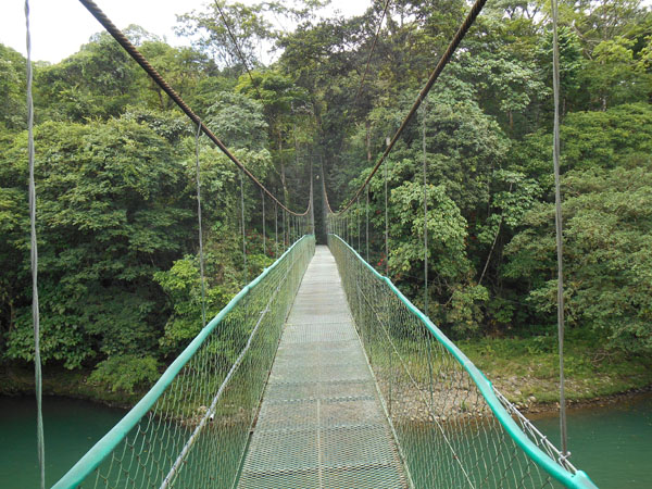 Suspension bridge at Sarapiqui River