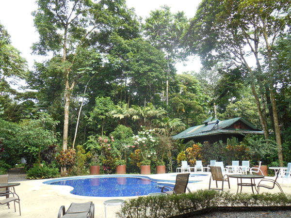 Selva verde lodge