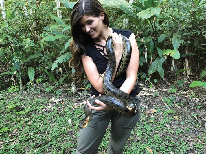 Anaconda Snake In Amazon River