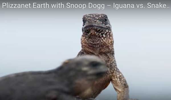 Snoop Dogg Plizzanet Earth 2