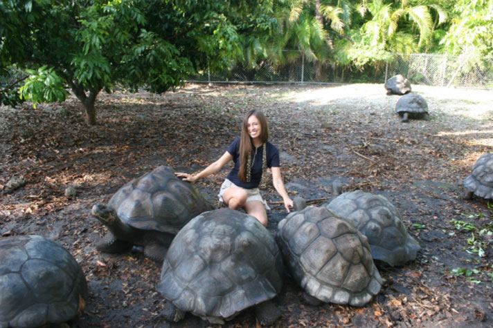 Three Jays Galapagos Tortoise Sanctuary