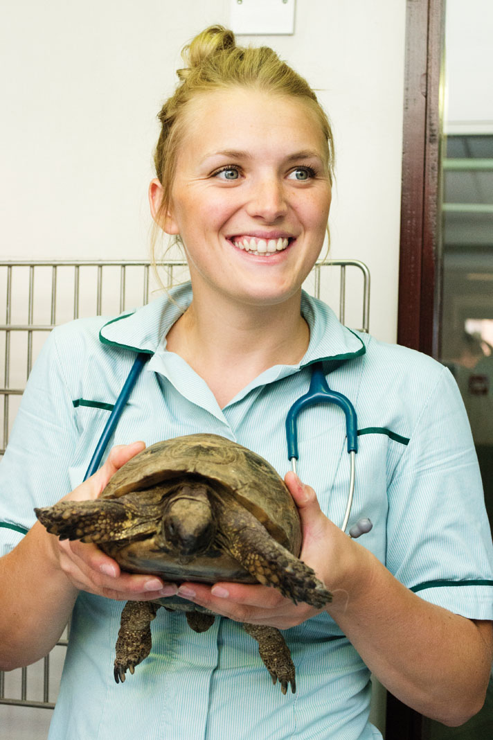 herp vet with a tortoise