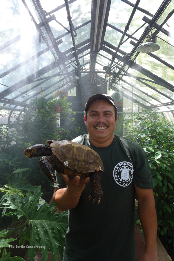 turtle conservancy greenhouse