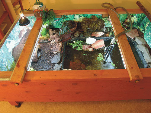 indoor tortoise table