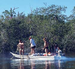 Researchers study arrau habitats