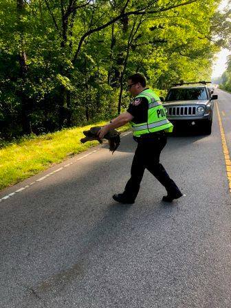 North Carolina Police Officer Escorts Snapping Turtle Across The Road