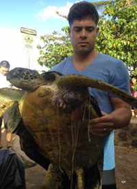 Hawaii Soldiers Rescue Green Sea Turtle Trapped In Crab Net