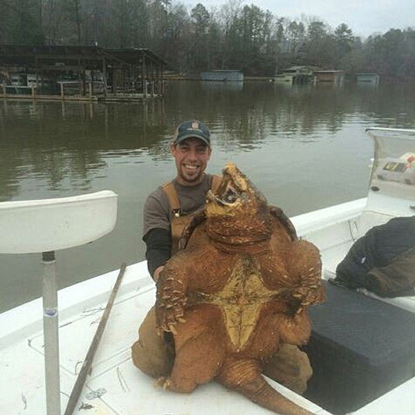 Man In Alabama Catches And Releases Huge Alligator Snapping Turtle
