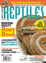 REPTILES magazine 