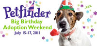 Petfinder.com’s Birthday Wish: Find Homes For 15,000 Pets