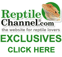 ReptileChannel.com Exclusives and Bonus Material