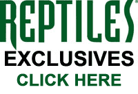 Reptiles Exclusives