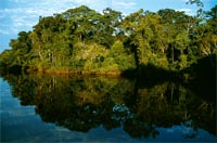 Rio Orosa river