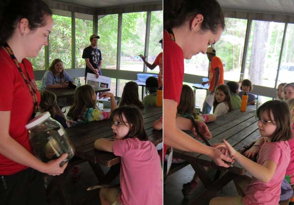 Clemson University Students Share The Joy Of Herps With Girl Scouts