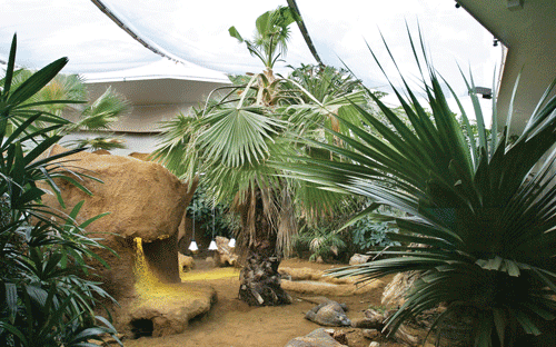 Komodo dragon enclosure at ZSL London Zoo in the U.K.