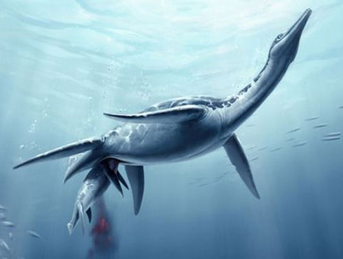 Plesiosaurs