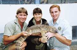 Steve Irwin the crocodile hunter