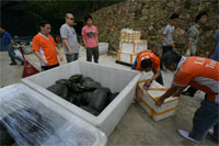 TSA Hong Kong Turtle Rescue