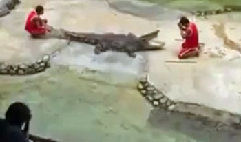 crocodile nearly removes man's head