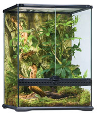 An enclosure similar to this one is just one part of the Ultimate Amphibian prize package