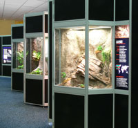 The "Geckos - Tails to Toepads" exhibit created by Clyde Peeling's Reptiland