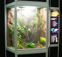 The exhibit if full of gecko habitats and information about the fascinating reptiles