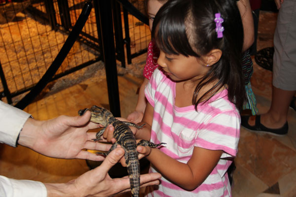 RAAD day at the Los Angeles Natural History Museum