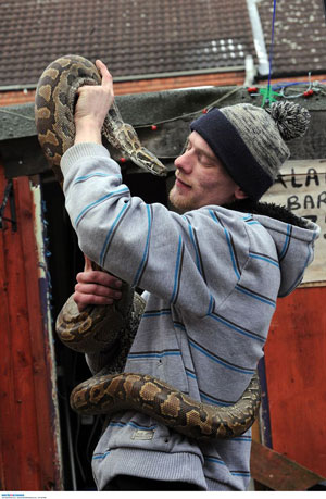 African rock python