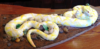 Dakota Thyme snake cake