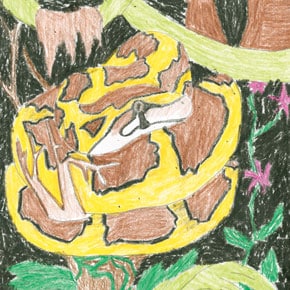 2009 Drawn To Reptiles Art Contest Entries