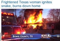 Texas Woman Douses Snake With Gas And Sets It On Fire, Burns Her House Down