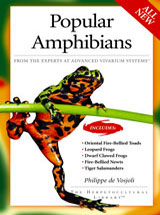Popular amphibians