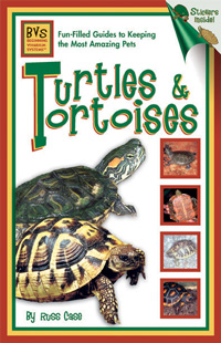 Turtles & Tortoises from Beginning Vivarium Systems