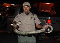 Florida Fish And Wildlife Announces 2013 Python Challenge