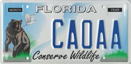 Florida License Plate Sales To Help Fund Study of Turtle-Killing Virus