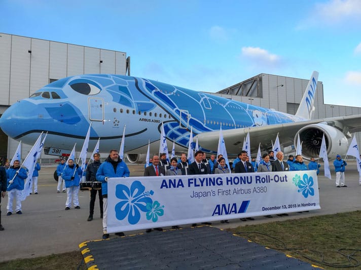 ANA TO Fly Green Sea Turtle Themed Airplane