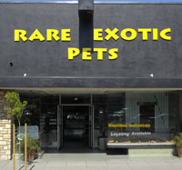 exotic pet store