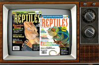 REPTILES magazine TV