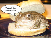 Toad Burger